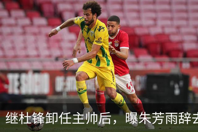 继杜锋卸任主帅后，曝朱芳雨辞去总经理职务，广东男篮开启新时代
